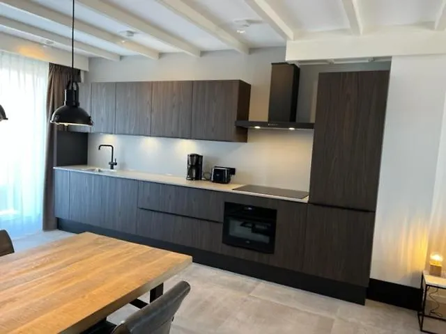 Aparthotel Casa del Cisne 3 Zandvoort Paesi Bassi